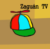 TV Zaguan